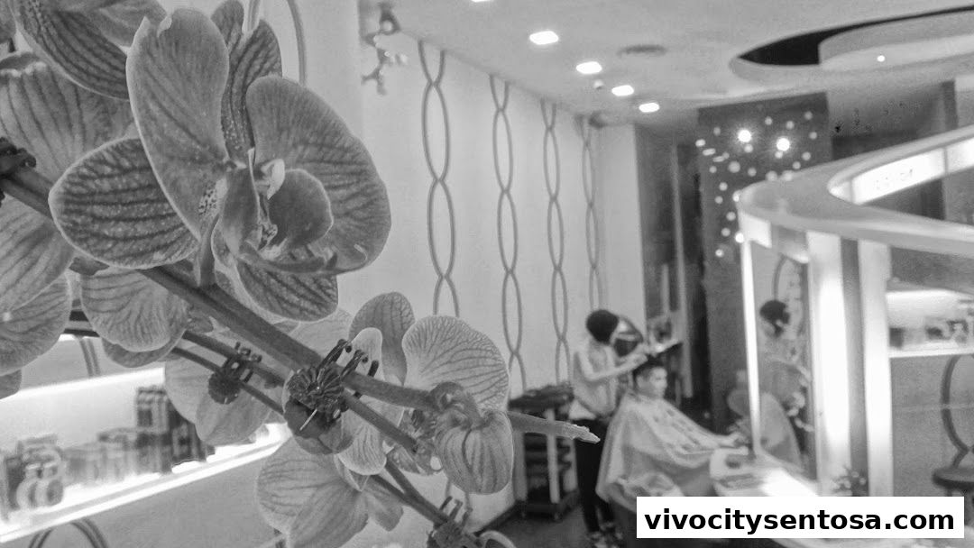 Team Salon  Vivocity Aveda