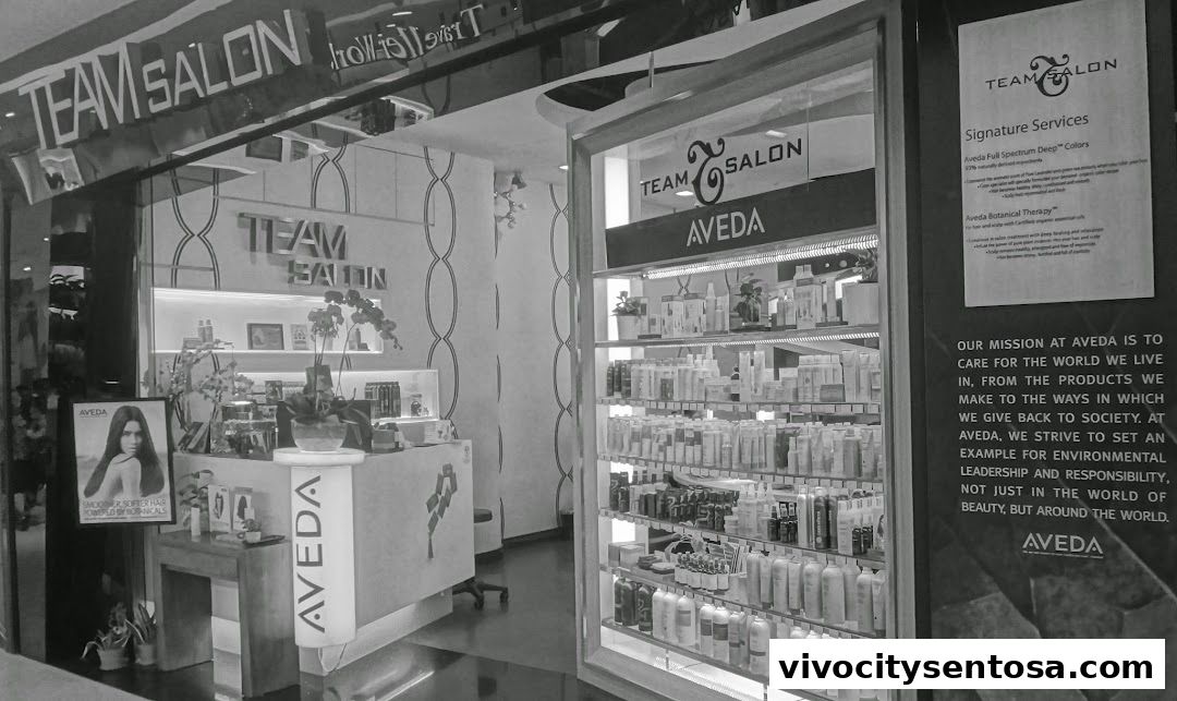 Team Salon  Vivocity Aveda