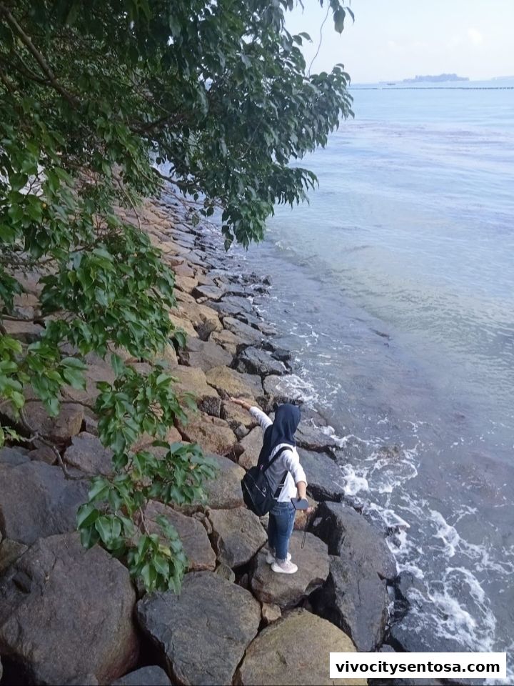 The Palawan  Sentosa