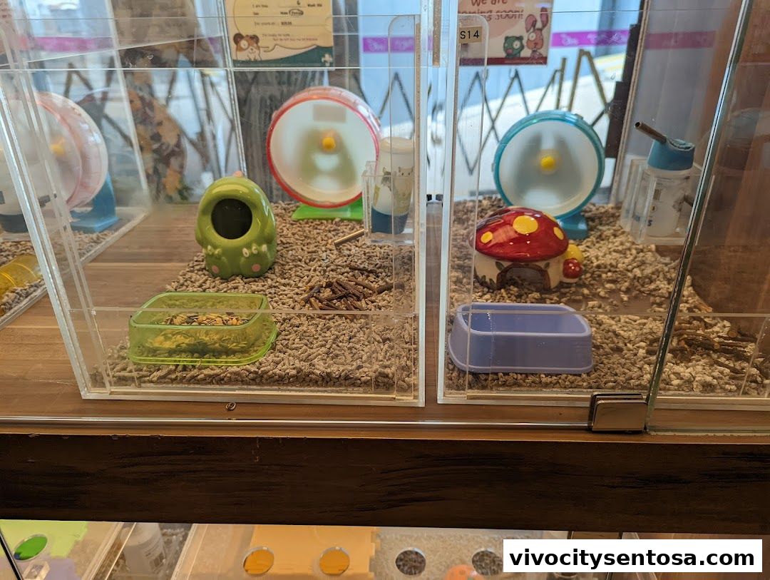 The Pet Safari - VivoCity