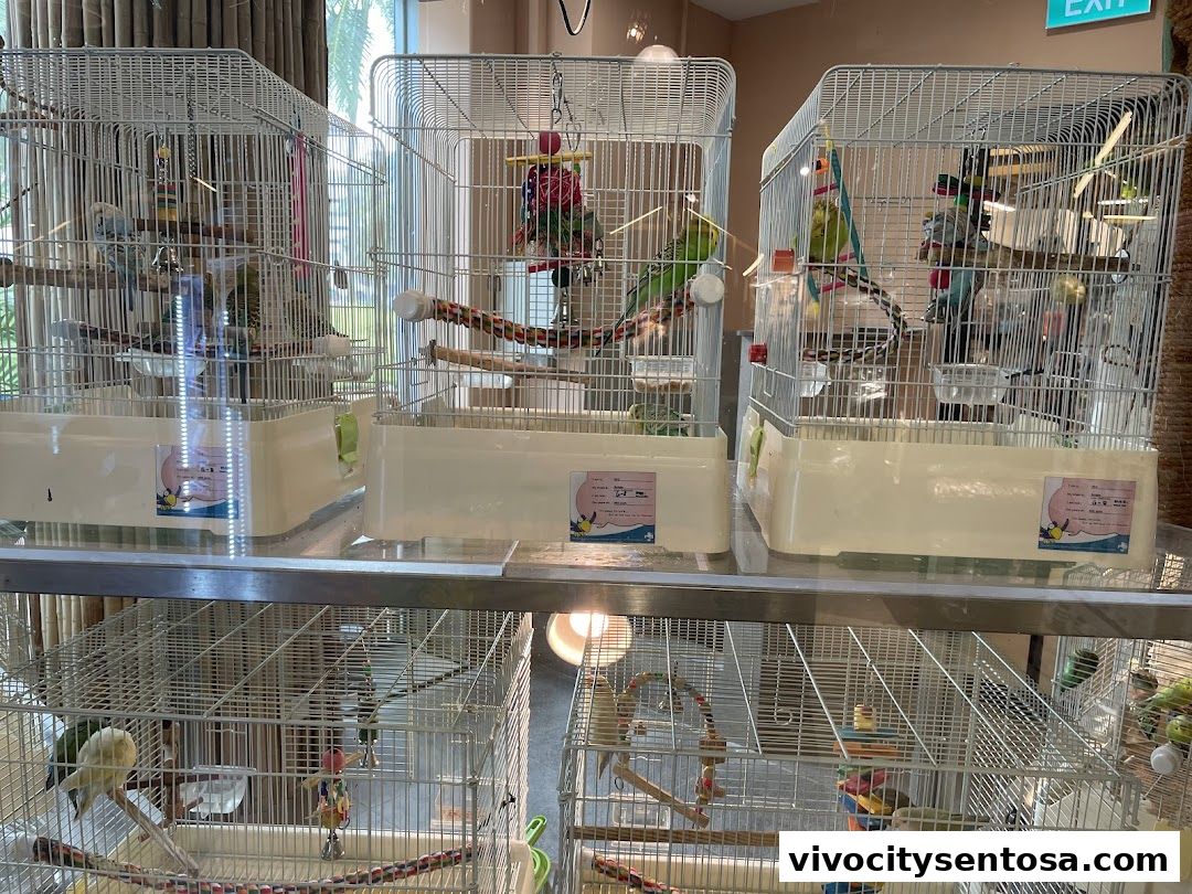 The Pet Safari - VivoCity