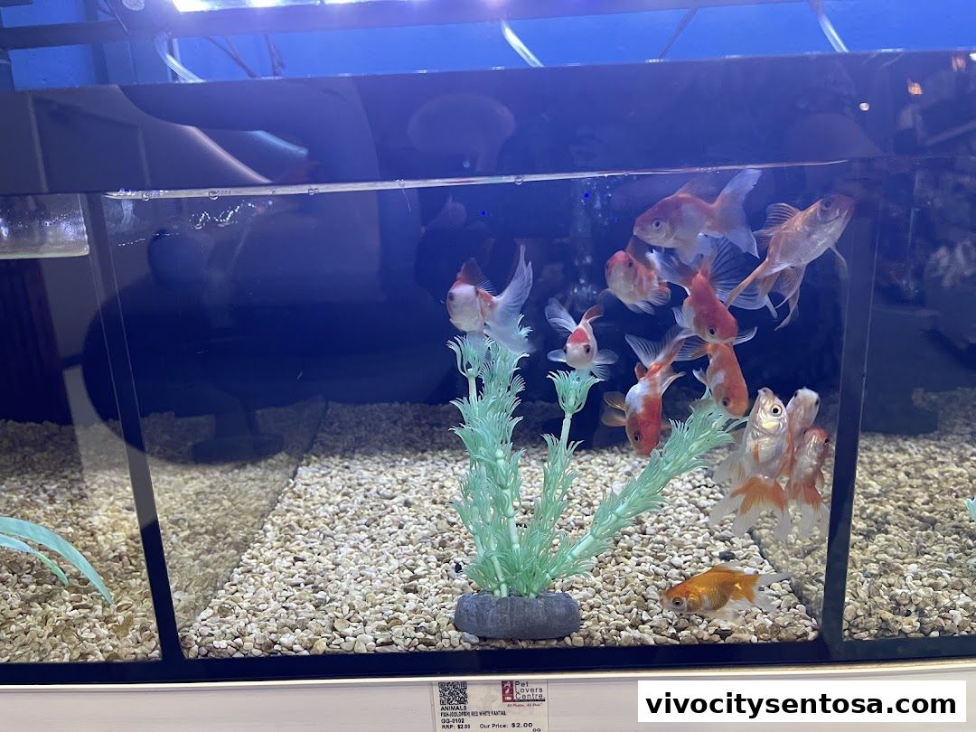 The Pet Safari - VivoCity