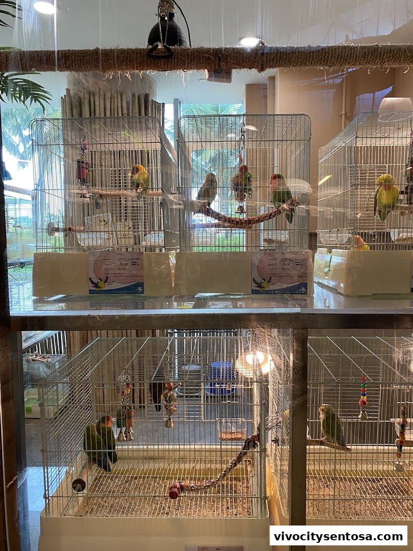 The Pet Safari - VivoCity