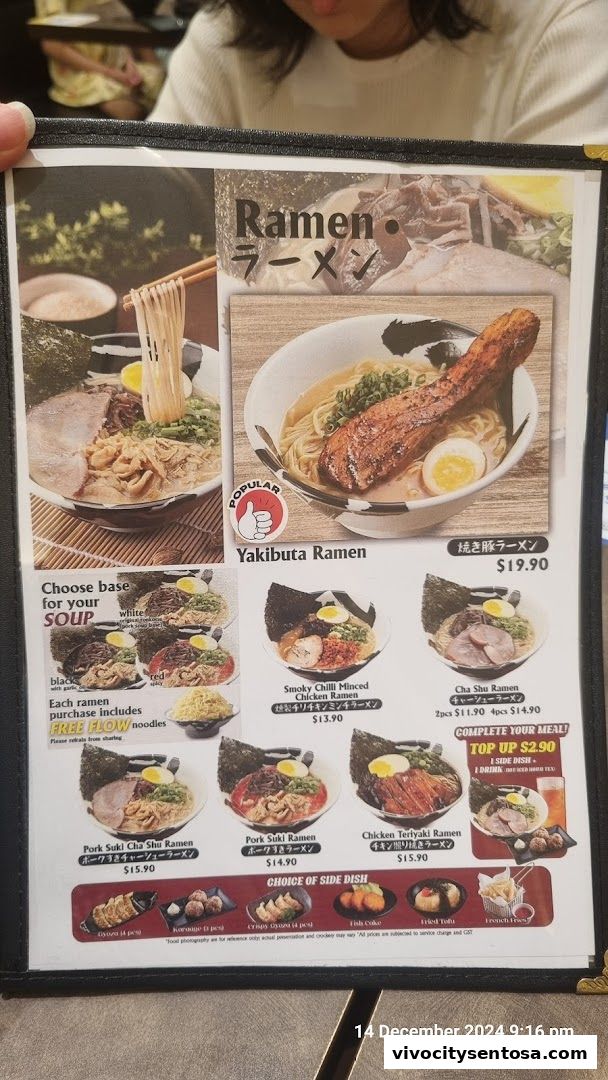 Tori Sanwa VivoCity