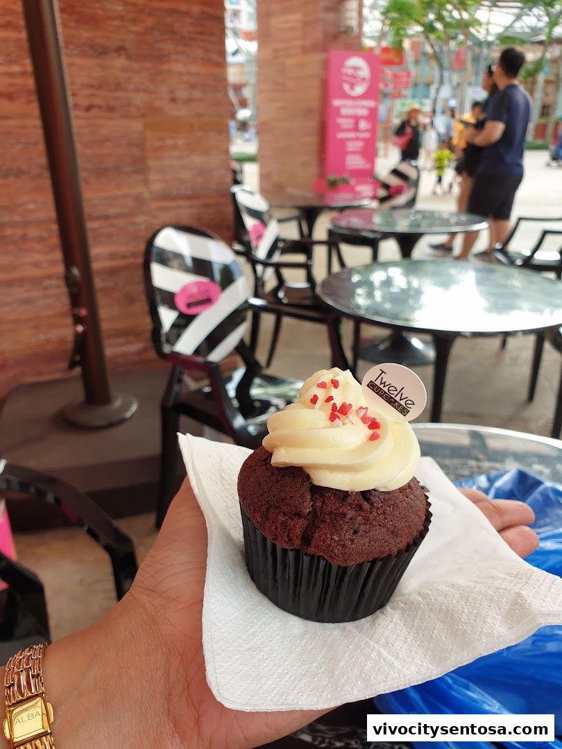 Twelve Cupcakes