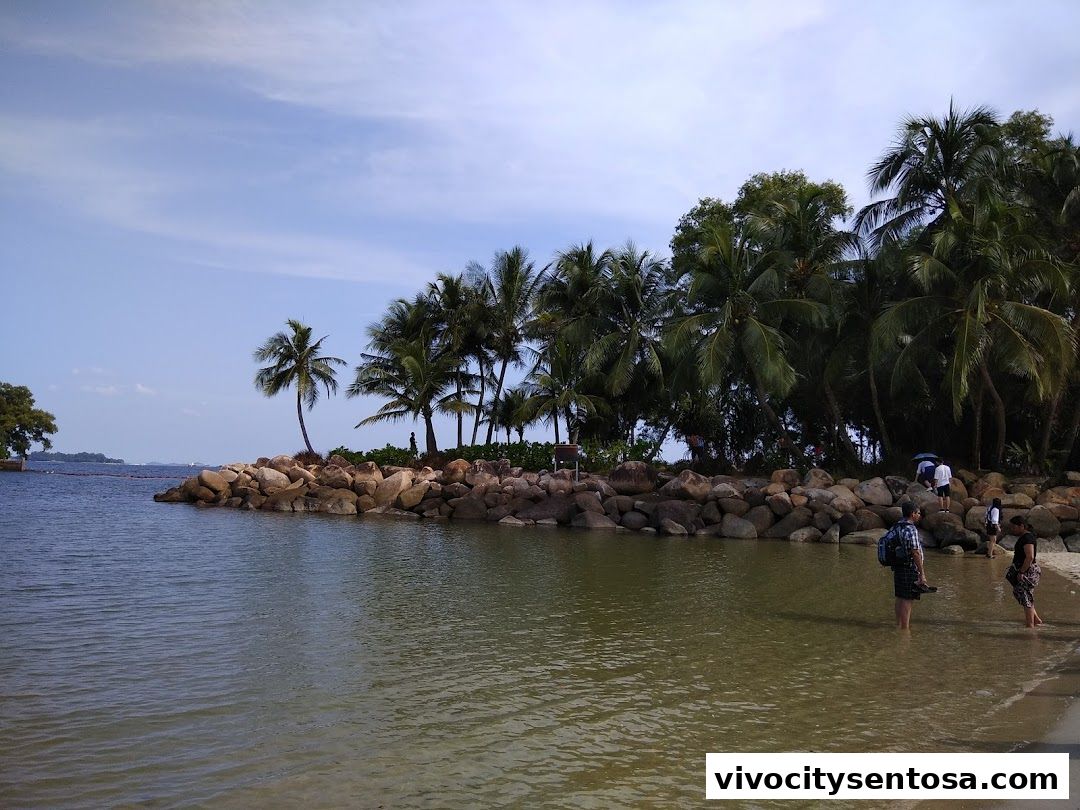 Wings of Time Fireworks Symphony