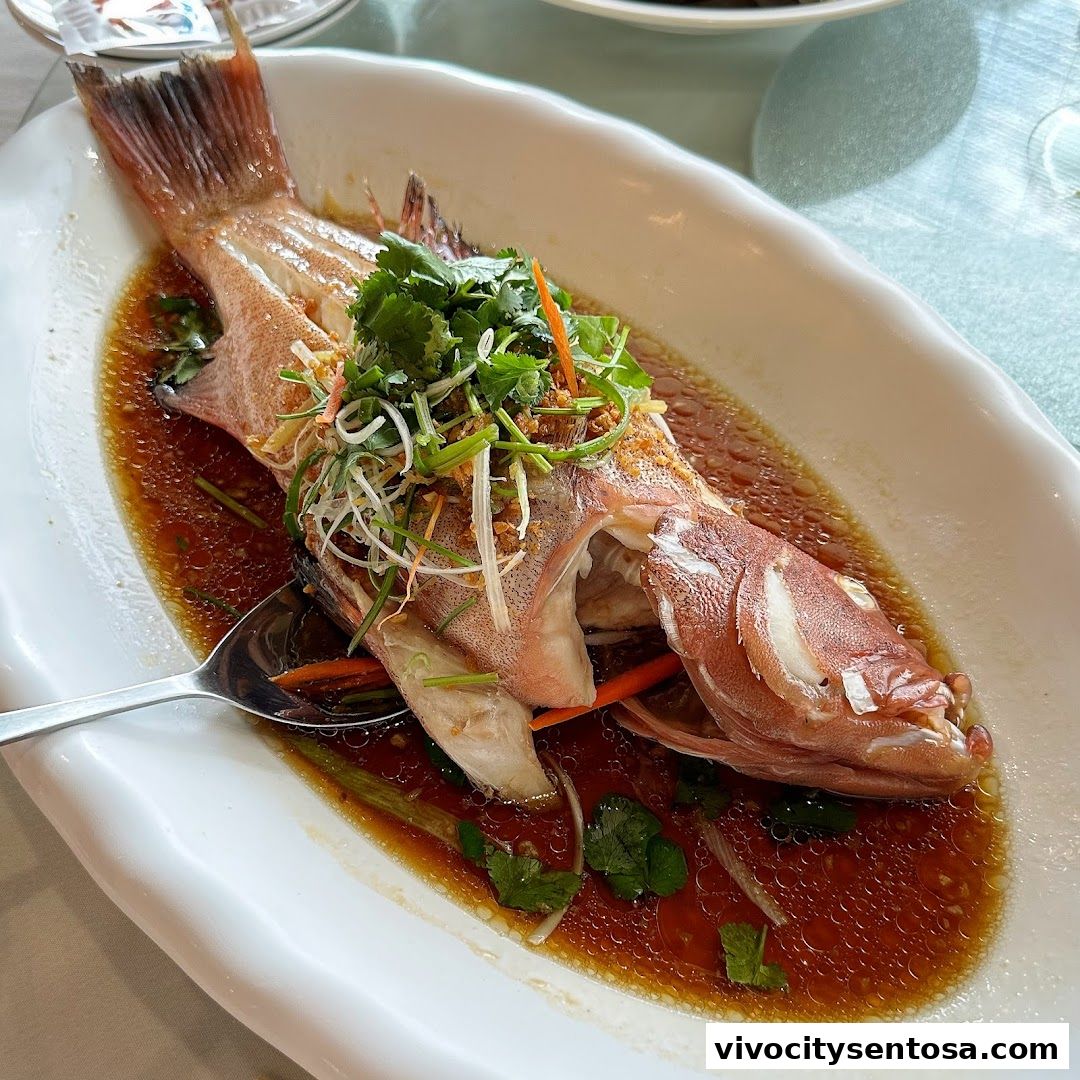 YANG MING SEAFOOD VivoCity Branch