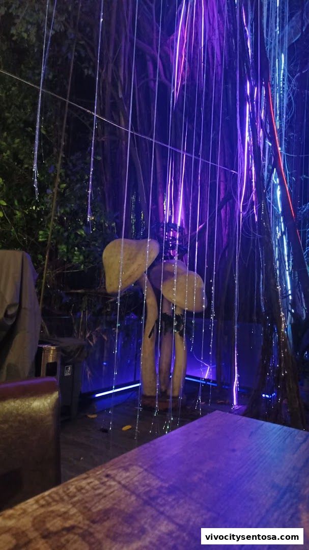 Yue Lounge  Sentosas Nature-Inspired Bar  Live Entertainment